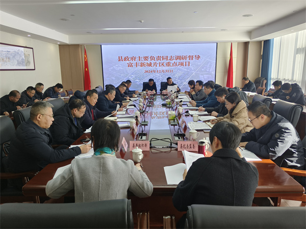 12月31日，縣政府主要負責同志調(diào)研督導富豐新城片區(qū)重點項目.jpg